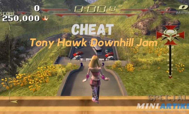 Cheat Tony Hawk Downhill Jam PS2