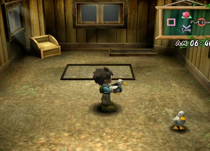 Cara Mendapatkan Bebek di Harvest Moon A Wonderful Life SE