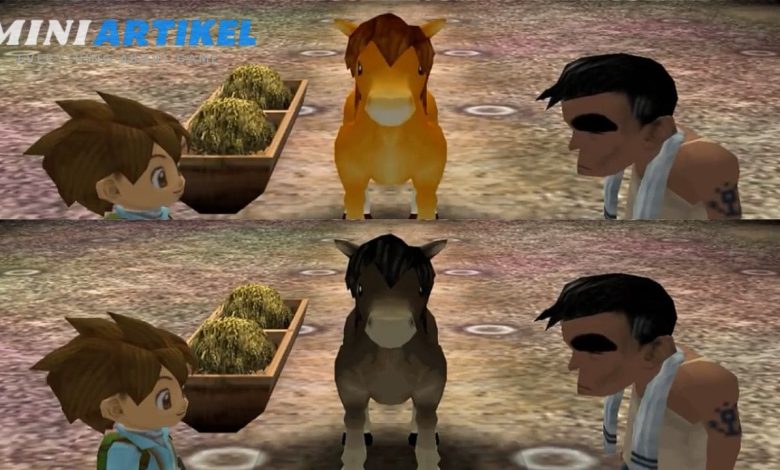 Cara Mendapatkan Kuda - Harvest Moon A Wonderful Life Special Edition