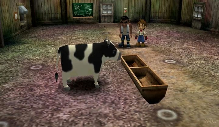 Cheat Harvest Moon A Wonderful Life SE PS2