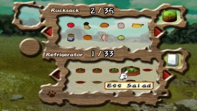 Resep Masakan Harvest Moon A Wonderful Life Special Edition