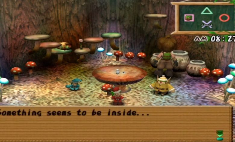 Cara Mendapatkan Anak Perempuan Harvest Moon A Wonderful Life SE