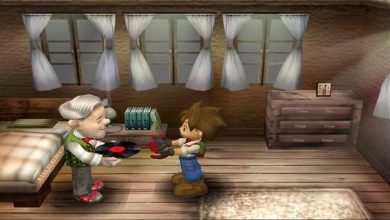 Cara Mendapatkan Record - Harvest Moon A Wonderful Life SE
