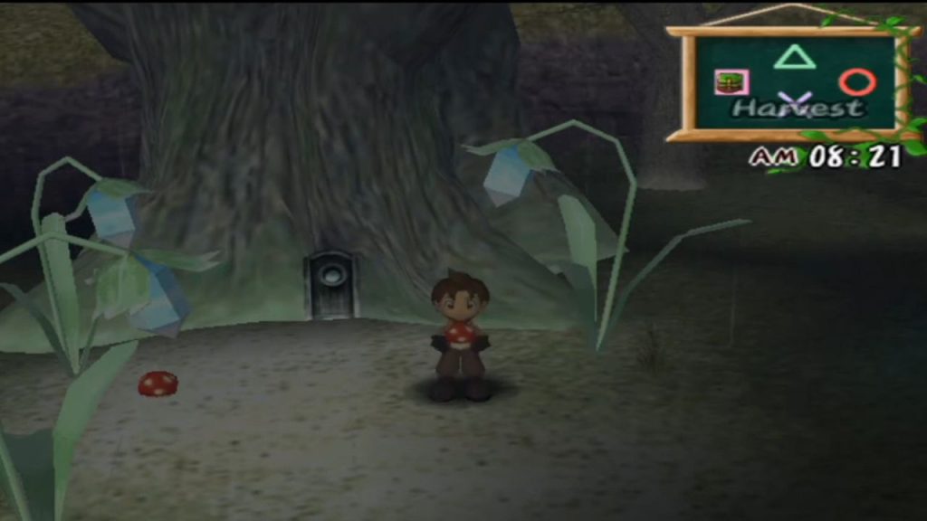 Rumah Harvest Sprites - Harvest Moon A Wonderful Life SE