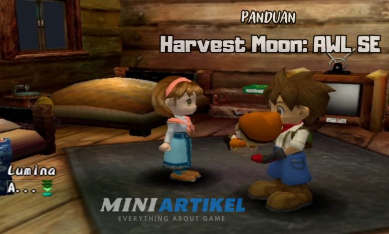 Panduan Harvest Moon A Wonderful Life Special Edition PS2