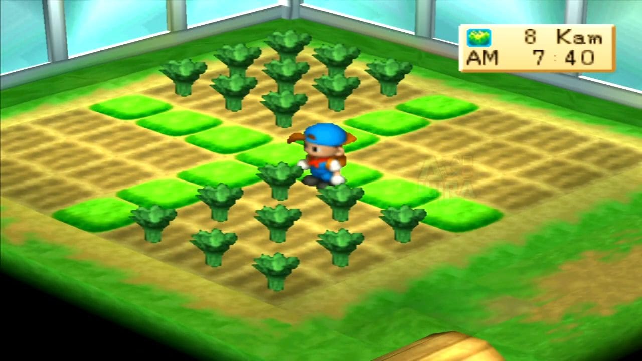 Cara Mendapatkan Bibit Langka di Harvest Moo Back to Nature PS1