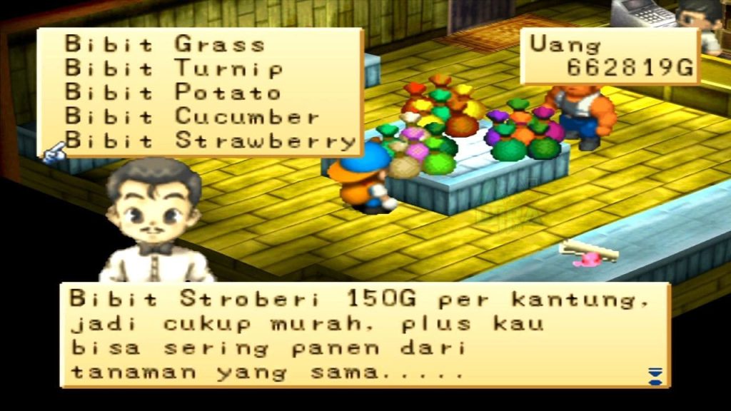 Cara Mendapatkan Bibit Strawberry
